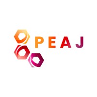 PEAJ – le centre de formation qui fait avancer les projets utiles